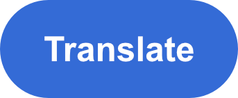 translate icon