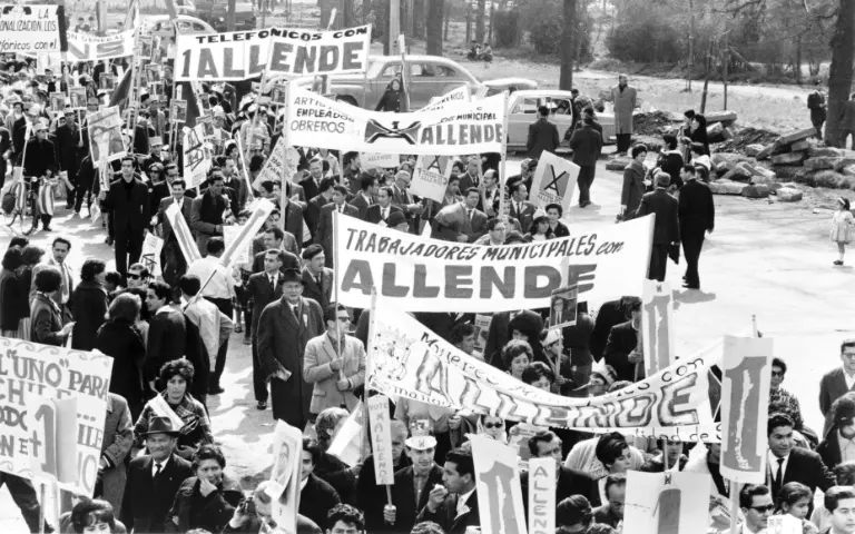 article 8 image