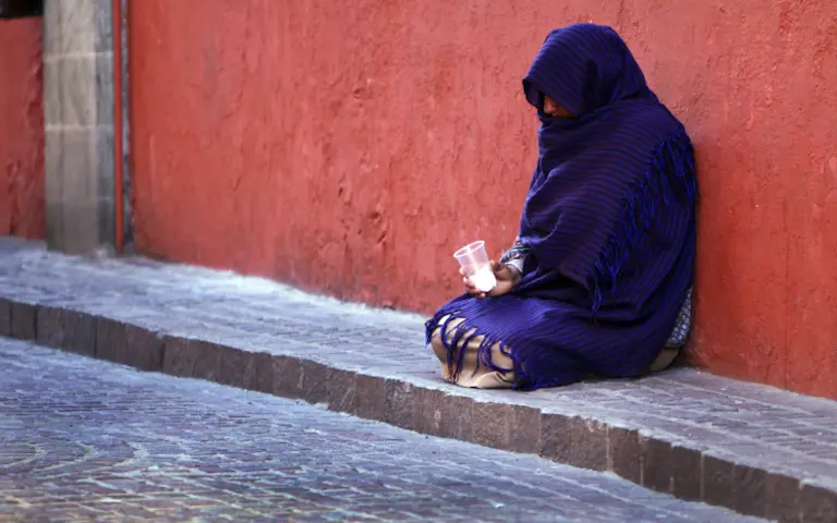 article 14 image