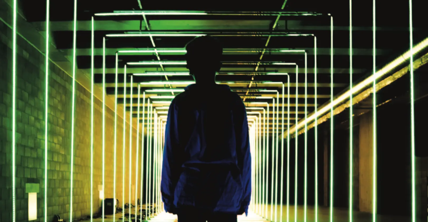 article 5 image