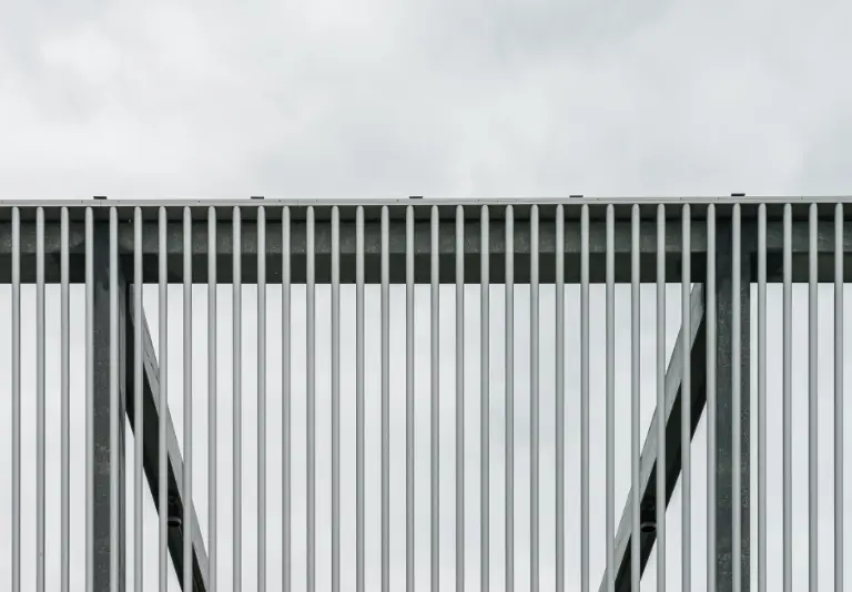 article 8 image