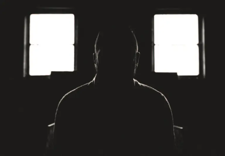 article 16 image