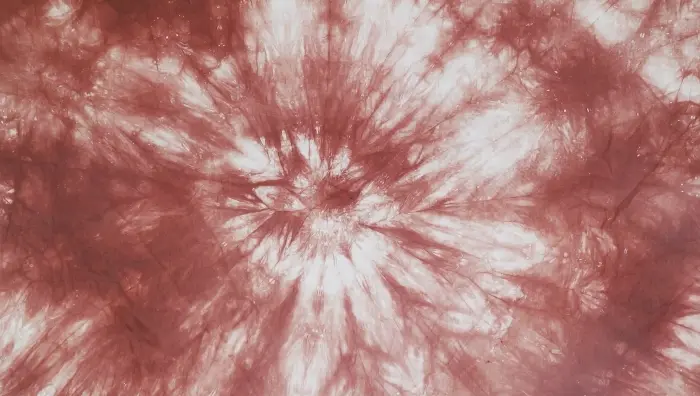 article 3 image