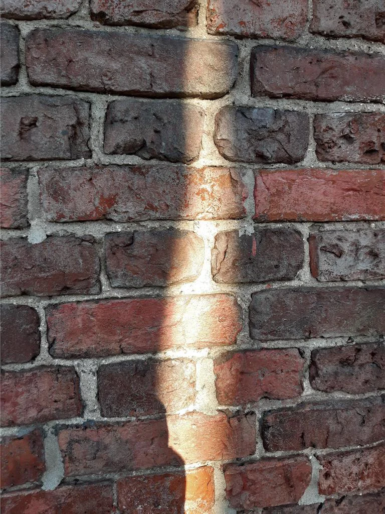 article 4 image