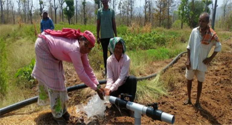 article 04 image